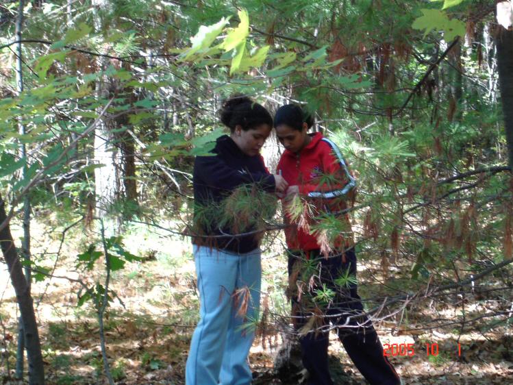 Ilham and Ingrid working together